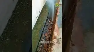 Ditch debris removal process- Good tools and machinery make work easy.
