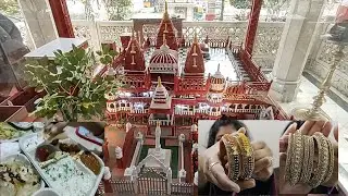Jain Mandir of Delhi |Chandni Chowk ka Lal Mandir | Birds Hospital | Shopping | Sakshi Jain & Family