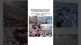 Фантастическое зрелище #мотивацияивдохновение #факты #мудрость #всемназаметку #природа