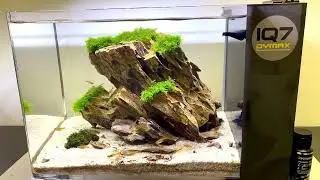 Dymax IQ 7 Aquarium Kit acuario completo (filtro + luz led)