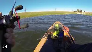 Banner Day On A Private Pond