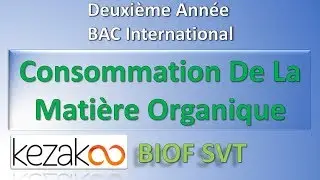SVT 2 BAC International BIOF - Consommation De La Matière Organique: Notions Elementaires