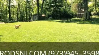 Tree Service Company Kinnelon NJ