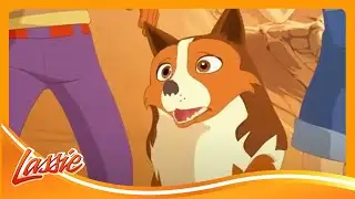 🐶 Helping a Scared Puppy Find Her Courage and More Cartoons for Kids | Lassie Episode Compilation