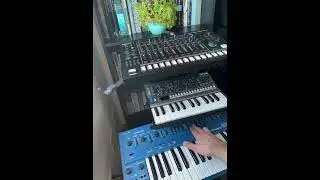 #electronicmusic #music #sh101 #bass #synth #tr8s #tr8 #ambientmusic #jam #rolandtr8s #synthesizer