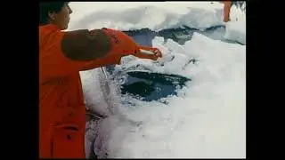 Low Visibility and Driving