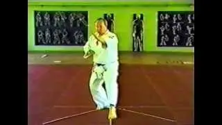 Экзаменационная программа Каратэ Кёкусинкай ИФК, ката, бункай 10- 1 кю. А.И. Танюшкин, В.П. Фомин.