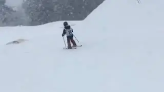 Ski freestyle 720 salto arri&egrave;re rail merlin ylan