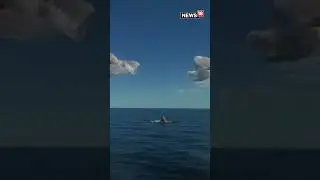 NASA&rsquo;s SpaceX Crew-9's Return To Earth And Splashdown | Sunita Williams | Butch Wilmore | N18S