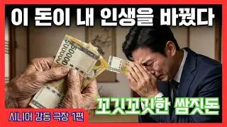 시니어 감동 극장 1편 - 꼬깃꼬깃한 쌈짓돈 : 26번의 면접 탈락, 저를 살린 건 스펙이 아니라 할머니의 편지 한 장이었습니다. #감동실화 #할머니사랑 #눈물주의 #동기부여