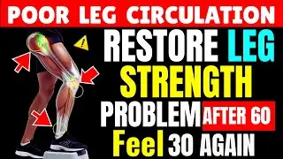 Increase Blood Flow and Circulation in Legs |5 Simple Exercises to Boost Leg Strength After Age 60!