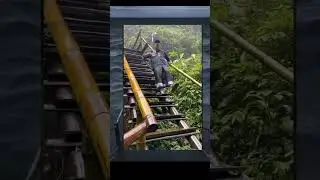 Monk Slips Down Stairs #fun #funny #the #lol #monk #ocean #stairs #slipsandfalls #tea #funniest