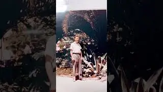 50s vintage photos collection