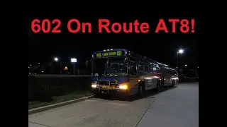 NeoplanDude | Alexandria DASH 2002 Neoplan AN460 #602 on Route AT8 (...plus deadhead section)!