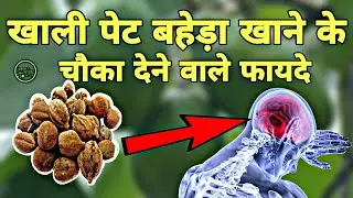 Surprising benefits of eating Baheda on an empty stomach: Astang Ayurveda