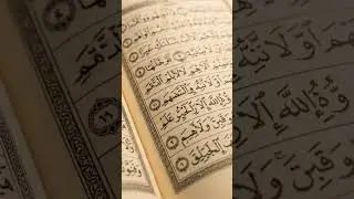 Surah Ahzab Ayat | 53-58 Urdu🥀🫡💯  @AsiyaShaik-f1e5b 🙏🤲🫀 Translation islamic video 😱 🕋 ☝️