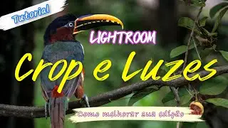 CROP E LUZES NO LIGHTROOM