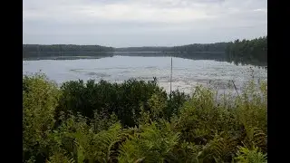NCT: Hiking from Brevort Lake Campground to M-123 (Forests sounds to study to)