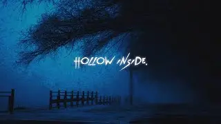 what it feels like to be hollow inside (Playlist)