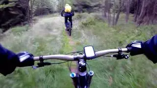Vores Harz 2018
