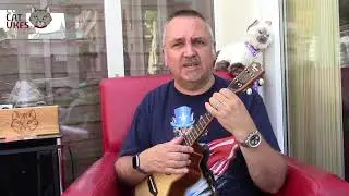 aNueNueNue Black Tide ukulele strings review