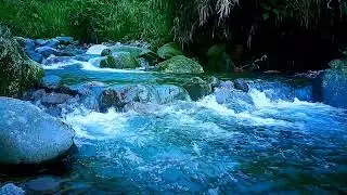 Forest River Night Sleep Sounds to Block Outside Noise & Promote Deep Rest Tonight