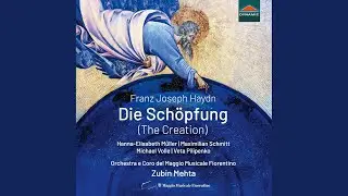 Die Sch&ouml;pfung, Hob. XXI:2, Pt. 1: No. 1a, Die Vorstellung des Chaos
