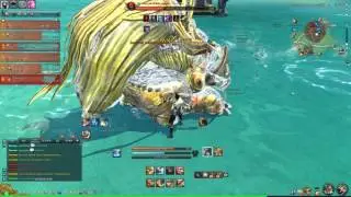 BNS Золотая Жаба