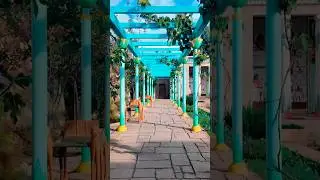 Hamilton Gardens, Part 3 of 4, New Zealand #travel #newzealand #auckland  #nature #garden #egyptian