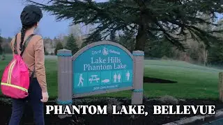 Phantom Lake Bellevue Washington | A Peaceful Nature Escape Near Seattle