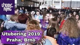 Můj &uacute;žasn&yacute; Utubering 2019/ Terysa