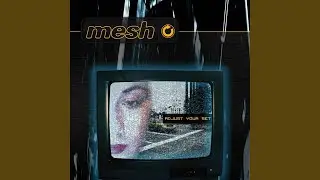 Adjust Your Set (Mabose Radio Version)