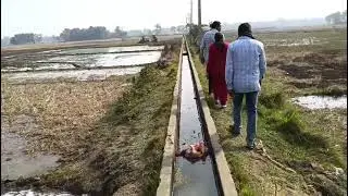 Water being supplied to the paddy field for boro paddy at Charaibahi LIS PC 2