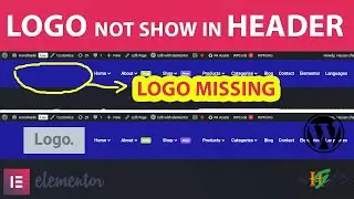 How to Fix Logo not Show in Elementor Header Frontend in WordPress