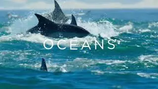 Nathan Retro - The Power of Sound | David Attenborough 😮 A Perfect Planet 🌍 - BBC