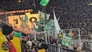 Fische Fangen (Borussia Dortmund VS Werder Bremen)