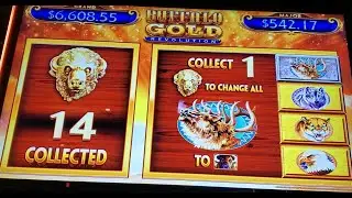 14 Gold Heads & Mega Feature at the Same Time! #massivewin #bagsgame