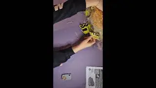 Primal Hatch T Rex Edition