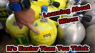 Learning About Nitrox {[It's Easier Than You Think]}