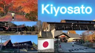 Kiyosato: Seisen-Ryo: Kiyosato no Mori: Moeginomura: Hokuto, Yamanashi, Japan