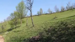 DONJA LJUBIJA  LJESKARE