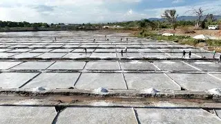 Development of SALT Industry Project (DSIP)