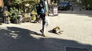 Heyvanlar haqqinda melumatlar