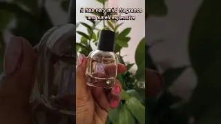 perfume you need to try from zudio just for 199 #zudio #perfume #shorts #ytshorts