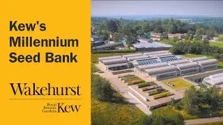 Kew&rsquo;s Millennium Seed Bank at Wakehurst