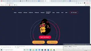 FEG Token is going where in march and spent how much! This is huge! Tips on how to DYOR!