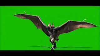 Bats green screen video