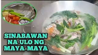 GANITO PALA ANG MASARAP NA LUTO SA ULO NG ISDANG MAYA-MAYA