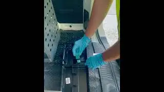 Rodent Pest Control