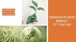 Textile Design: a transdisciplinary approach in higher education in Portugal.
